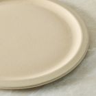 Hale Stoneware Dinner Plate Sets