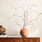 Faux Curvy Willow Branch