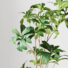 Faux Frangipani Tree