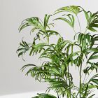 Faux Potted Bamboo Palm Tree (7')