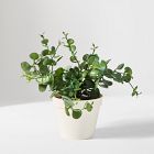 Faux Eucalyptus Potted Plant