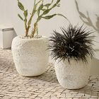 Alaric Ficonstone Outdoor Planters