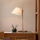 Iver Table Lamp (20")
