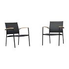 Endric Outdoor Lounge Chairs (Set of 2)