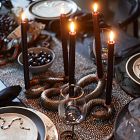 Snake Candle Holder Collection