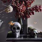 Get the Look: Halloween Skulls Decor