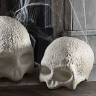 Indoor/Outdoor Skull &amp; Bone Decorative Objects