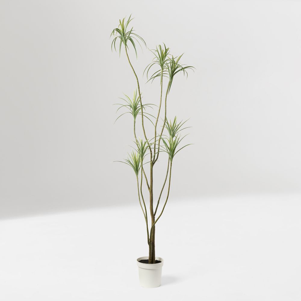 Faux Potted Dracaena - Green, 7ft