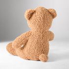 Teddy Bear Plush