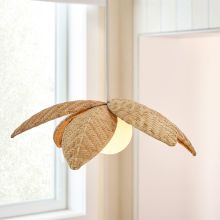 Chandeliers &amp; Pendants