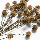 Faux Chestnut Stem Bundle