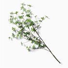 Faux Gypsophilia Branch