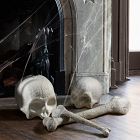 Indoor/Outdoor Skull &amp; Bone Decorative Objects