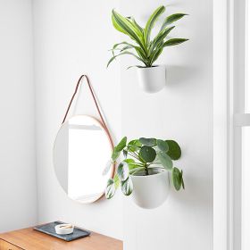 Ceramic Indoor/Outdoor Wallscape Planters | West Elm