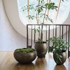 Organic Metal Floor Planters