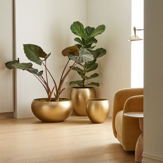 Organic Metal Floor Planters with Drainage | West Elm