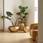 Organic Metal Floor Planters