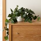 Faux Potted Green Philodendron Plant