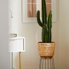 Faux Potted Cactus Plant