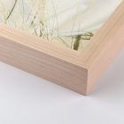 Botanical Shadows Wall Art by Fountain Grass Studios