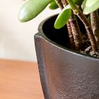Imogen Iron Tabletop Planters