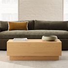 Agnelli Storage Coffee Table (44")