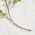 Faux Bean Leaf Branch