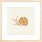 Snail Framed Wall Art by Sally Murphy Design