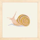 Snail Framed Wall Art by Sally Murphy Design