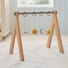 Sky Sensory Baby Gym Accessories