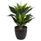Faux Agave Plant