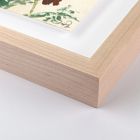 Meadow Rue 1 Framed Wall Art by Shaina Page