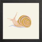 Snail Framed Wall Art by Sally Murphy Design