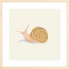 Snail Framed Wall Art by Sally Murphy Design