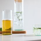 Canopy Recycled Drinking Glass Sets