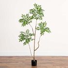 Faux Potted Minimalist Japanese Pieris Tree
