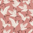 Open Box: Family of Cranes Wallpaper