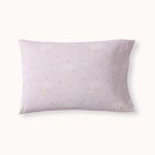 Painted Butterfly Pillowcase Set