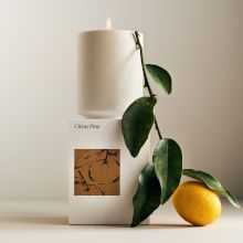 Citrus Pine Homescent Collection
