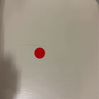 Open Box: Wingate Dining Chair - Ivory