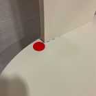 Open Box: Wingate Dining Chair - Ivory