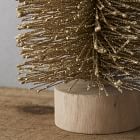 Champagne Bottlebrush Trees