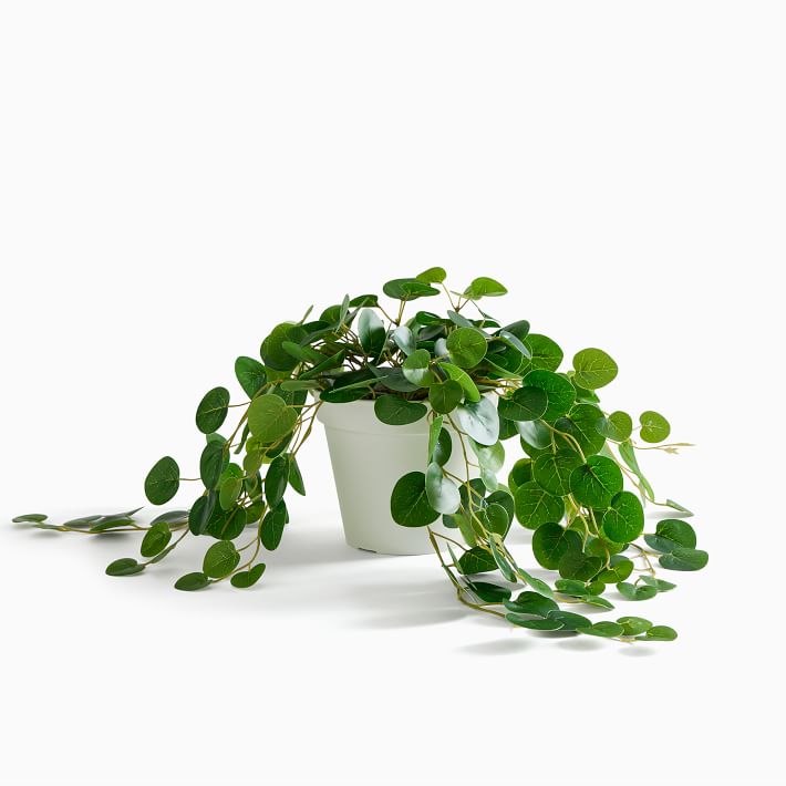 Faux Potted Trailing Leaf Plant, 25'', West Elm