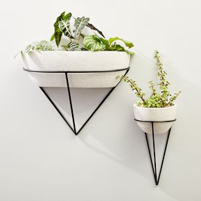 Iris Cement Indoor/Outdoor Wall Planters | West Elm