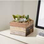 Live Succulents w/ Reclaimed Wood Planter