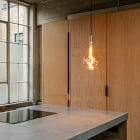 Open Box: Tala Wood Pendant w/ Voronoi III Bulb - Brass