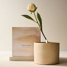 Terra Homescent Collection - Amber Dunes