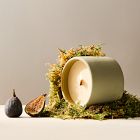 Terra Homescent Collection - Cedarwood Grove