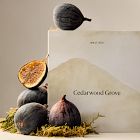 Terra Homescent Collection - Cedarwood Grove