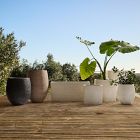 Curved Ficonstone Indoor/Outdoor Planter Collection